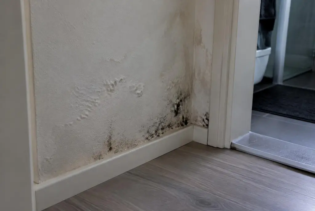 Lekdetectie Spakenburg – vochtplek met schimmel op een muur